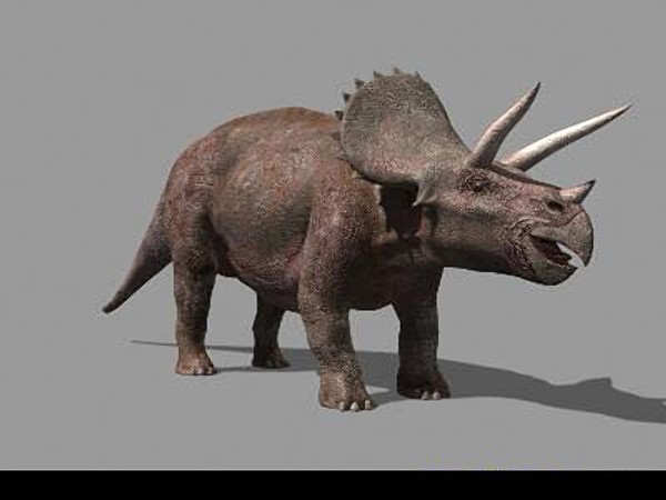 jp triceratops 3d obj - True Jp Triceratops Obj by Virtual creator